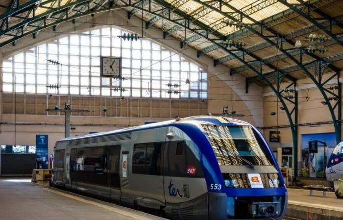 Aumento dei salari, estensione delle prestazioni sociali… La SNCF fa di tutto per evitare uno sciopero a Natale