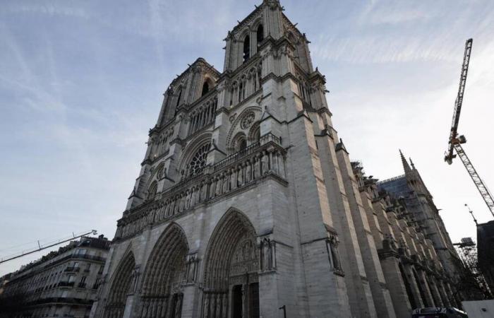 Emmanuel Macron mette in scena la sua rivelazione visiva di Notre-Dame