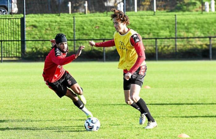 I giocatori di En Avant Guingamp percorrono la campagna alla ricerca dell'adolescente scomparso