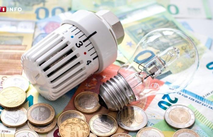 L’inflazione rimane stabile a novembre, i prezzi dell’energia continuano a scendere su base annua