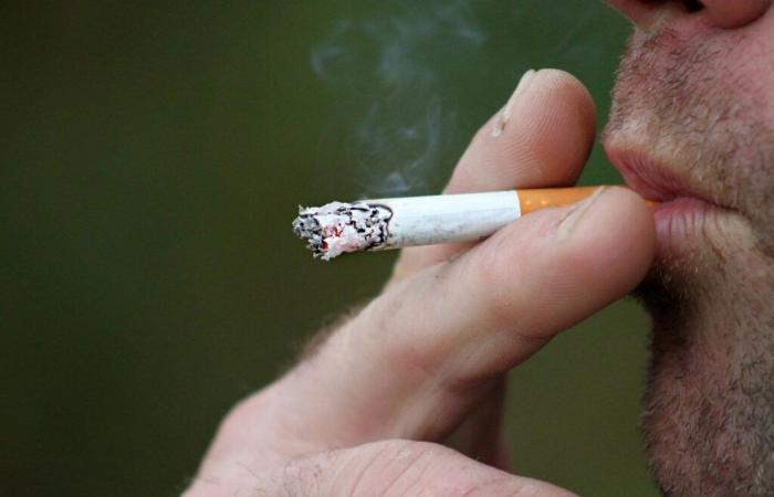 Tabacco: verso un’impennata del prezzo di un pacchetto di sigarette nel 2025? – 29/11/2024 alle 16:43