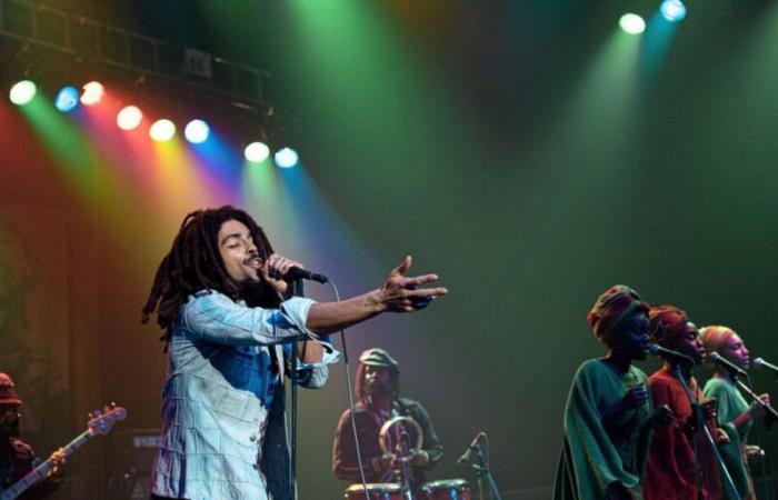 Chi sono i figli di Bob Marley e cosa è successo loro?