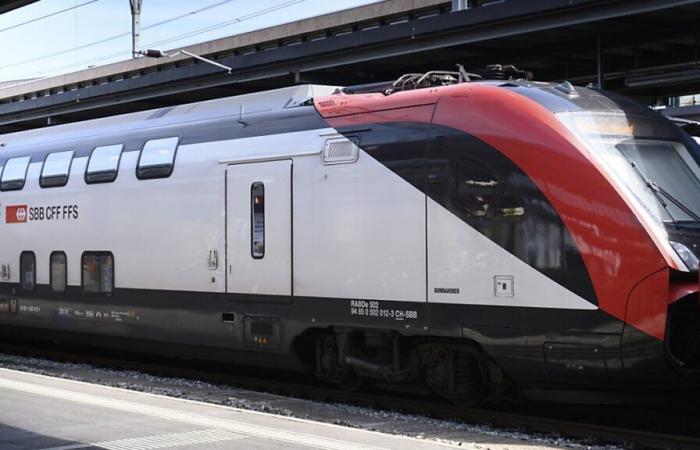 Traffico interrotto alla stazione di Ginevra, linee interessate