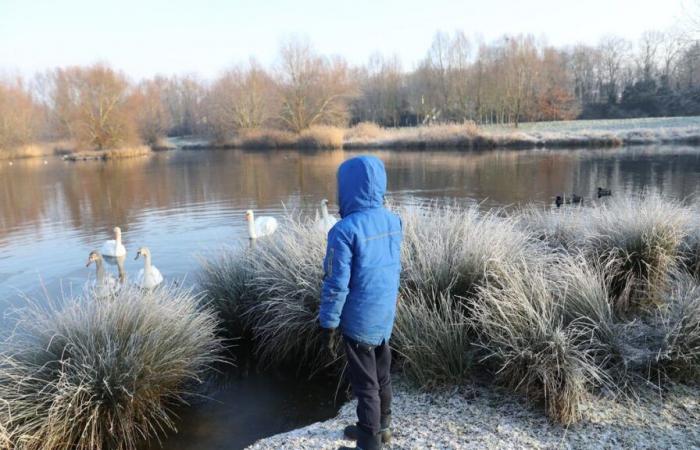 Da -5°C a quasi 25°C: un venerdì tra le gelate mattutine al Nord-Est e il caldo al Sud-Ovest