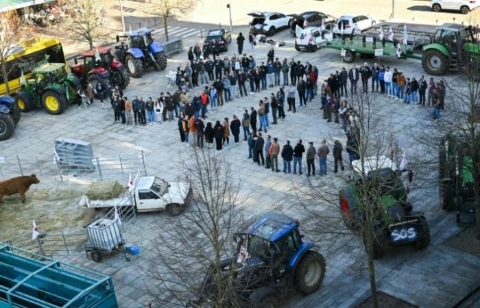 Agricoltori: la FNSEA alza la posta, preferisce la “stabilità” del governo – 29/11/2024 alle 18:21