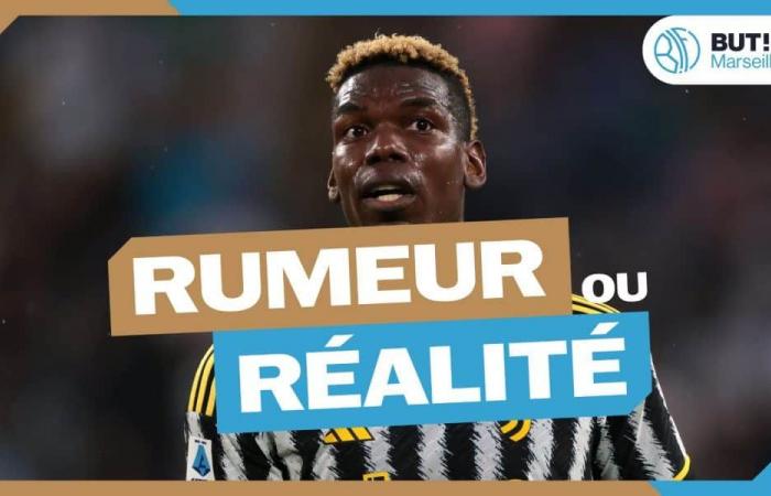 OM Mercato: Paul Pogba, voce o realtà?