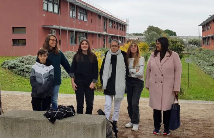 Giornata di allenamento per le squadre dell'EDD/Vie Collégienne du Gard