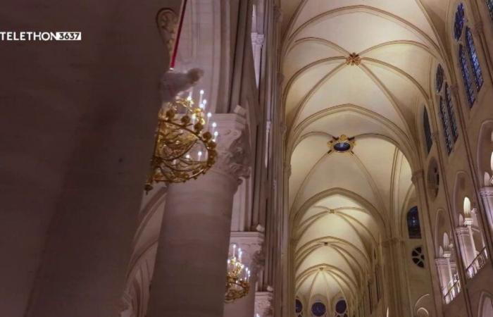 scorcio dello splendore della cattedrale restaurata