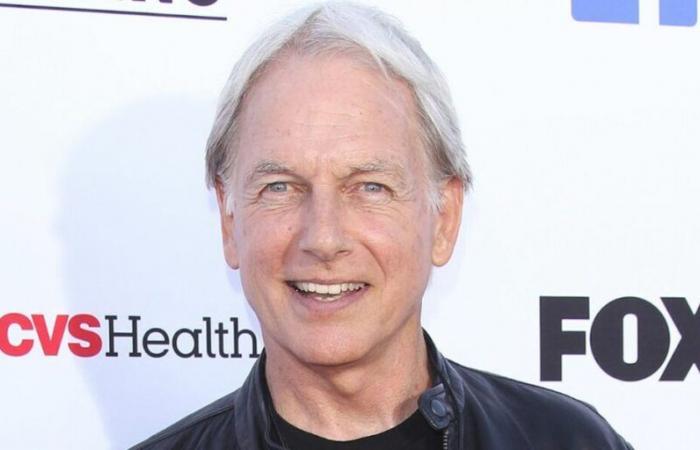 L’improbabile motivo per cui Mark Harmon (Gibbs) ha detto sì alla serie