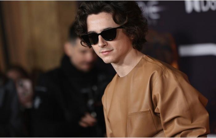 Timothée Chalamet ha detto “Non hai il corpo giusto” per un film d'azione