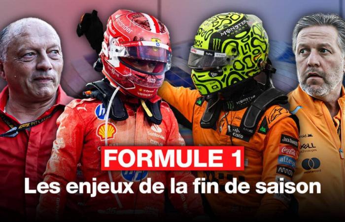 FILMATO F1. Duello McLaren – Ferrari, Alpine…Tre motivi per seguire gli ultimi due GP della stagione