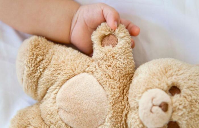 Una grande scatola di peluche smarriti, una madre alla ricerca dei peluche di sua figlia nella Mayenne e nella Sarthe