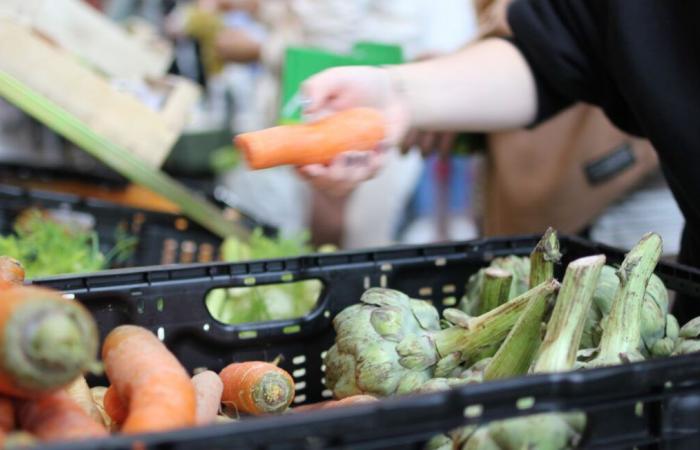 Un negozio di alimentari senza dipendenti che offre prezzi ridotti ai propri clienti