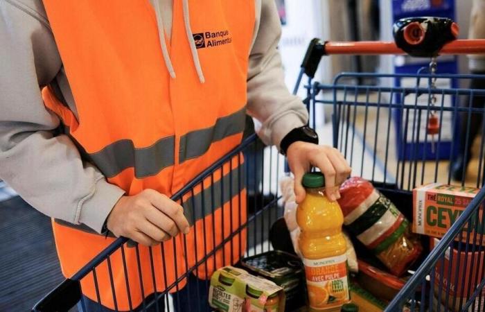 A Nîmes sono stati dati alle fiamme sei camion del Banco Alimentare, per un valore di quasi 500.000 euro