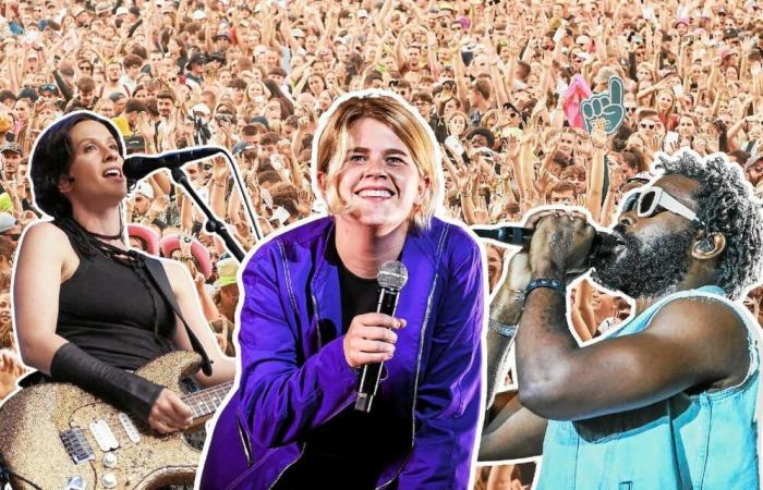 Scopri i primi artisti del programma Vieilles Charrues 2025