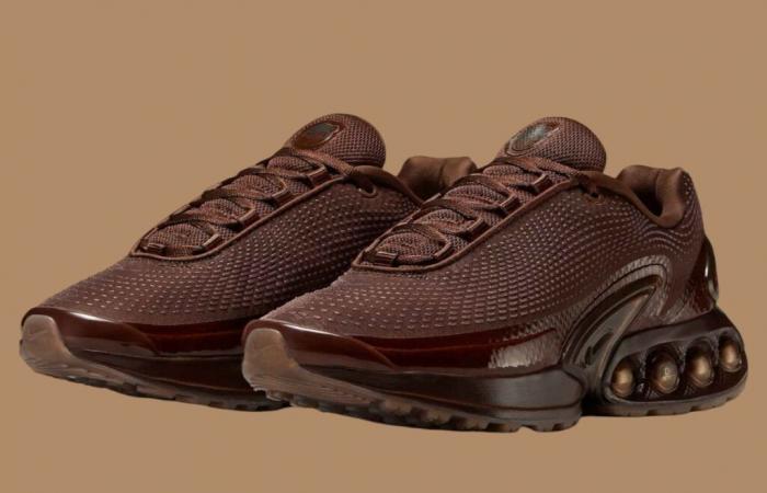 Nike Air Max Dn Cioccolato Leggero HQ3837-200