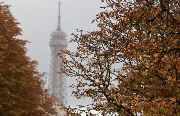 Sole, temperature fresche al Nord-Est, massime altrove: il tempo del fine settimana in Francia