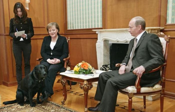 17 anni dopo, Putin ripensa al momento in cui ha spaventato la Merkel con il suo cane