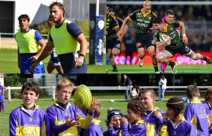 La Rochelle – RC Vannes: Matthias Haddad e Mattéo Desjeux, due prodotti puri di RCP Muzillac nella Top 14