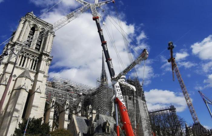 Notre-Dame-de-Paris: scalpellini, scultori… questi artigiani dell'Occitania hanno partecipato al titanico cantiere della cattedrale