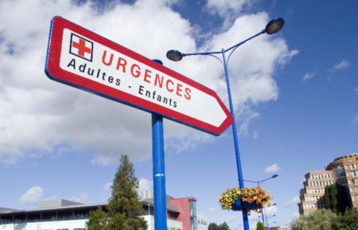 Ospedali: la mancanza di personale e l'epidemia di bronchiolite che colpisce il Paese spingono gli operatori sanitari allo sciopero: Notizie