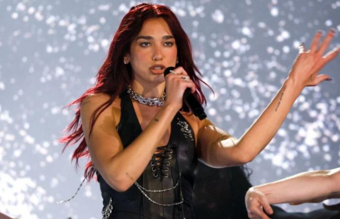 A Bombay per levitare al concerto di Dua Lipa? Assapora questi cibi locali popolari