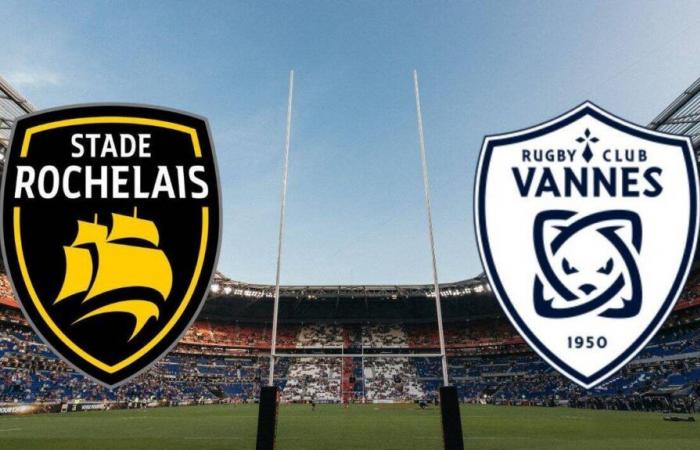 La Rochelle – Vannes: su quale canale e a che ora vedere in diretta la partita della Top 14?