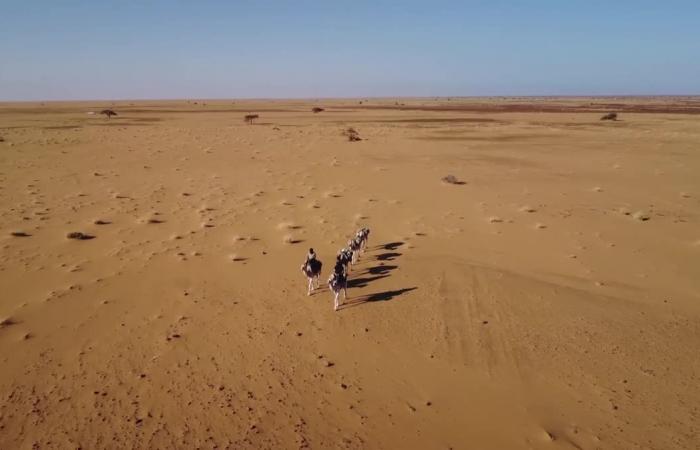 RITRATTO. Dalla Bretagna al Sahara, Odette du Puigaudeau, un’avventuriera poco conosciuta