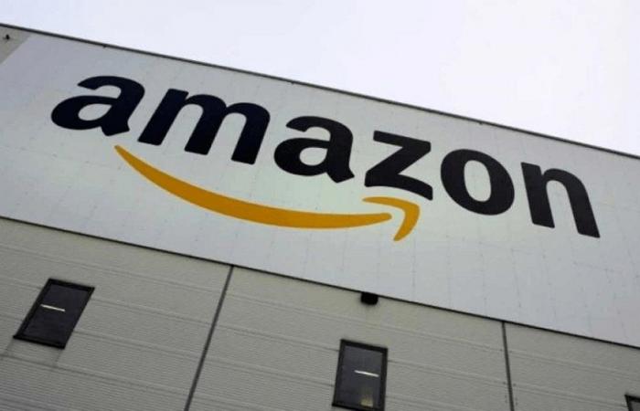 Consegna gratuita dei libri da parte di Amazon: Rachida Dati deplora una “elusione” della legge e promette “risposte”