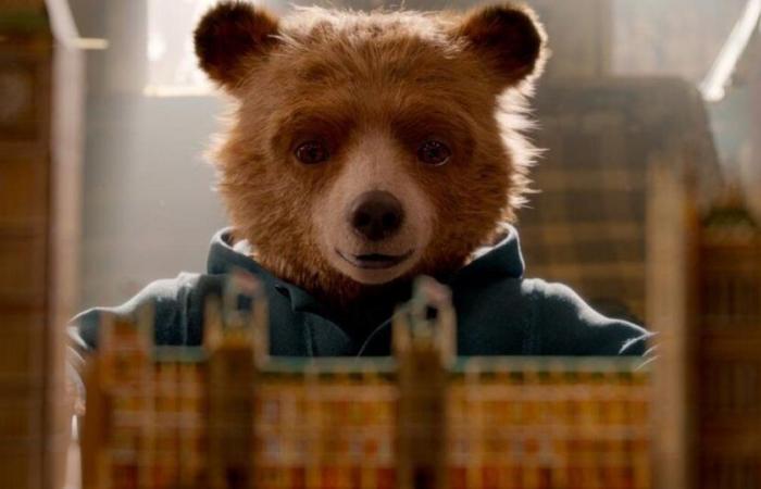 Paddington, l’orso goffo che vale milioni