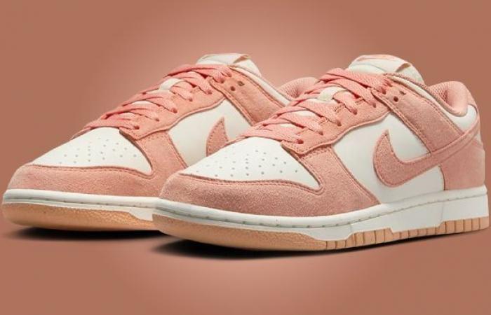 La Nike Dunk Low Soft Pearl Apricot Agate uscirà nella primavera del 2025