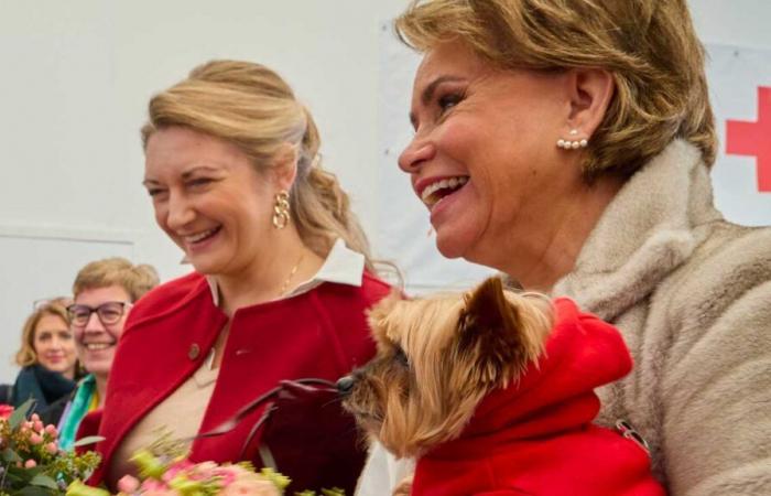 Yorkshire Toffee ruba la scena alla Granduchessa Maria Teresa e a sua nuora al Bazar della Croce Rossa