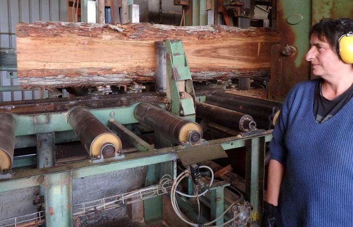 Notre-Dame-de-Paris: scalpellini, scultori… questi artigiani dell'Occitania hanno partecipato al titanico cantiere della cattedrale