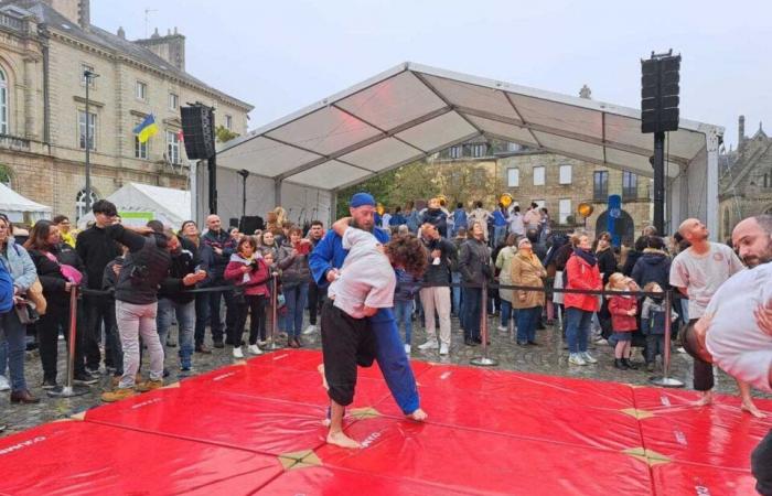 Diretto. Telethon 2024. Sfide sportive, attività insolite, musica, danza… La festa continua a Quimper