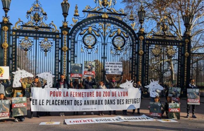 16 associazioni manifestano per la chiusura del parco zoo della Tête d’Or