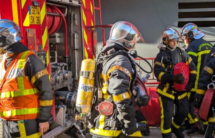 Cremazione, Marsiglia e vigili del fuoco nelle cronache di venerdì 29 novembre a Indre