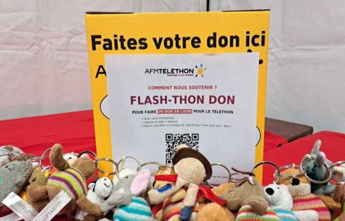 Diretto. Telethon 2024. Sfide sportive, attività insolite, musica, danza… La festa continua a Quimper