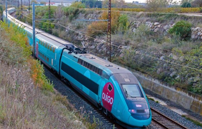 passeggeri rimasti bloccati per più di 7 ore su un treno, dopo un brutale scontro con un'auto