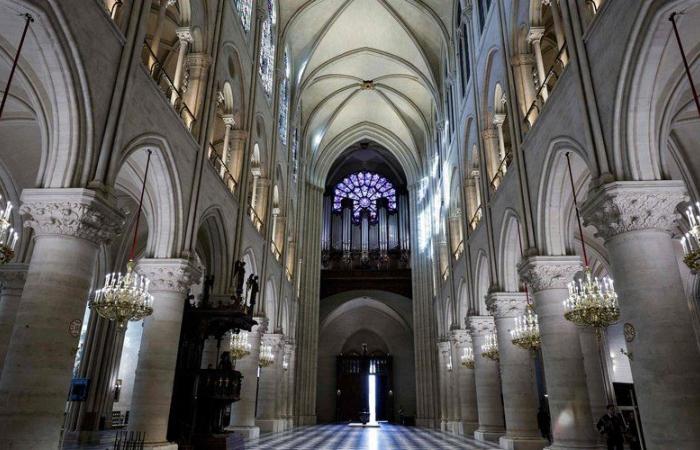 Notre-Dame-de-Paris: scalpellini, scultori… questi artigiani dell'Occitania hanno partecipato al titanico cantiere della cattedrale