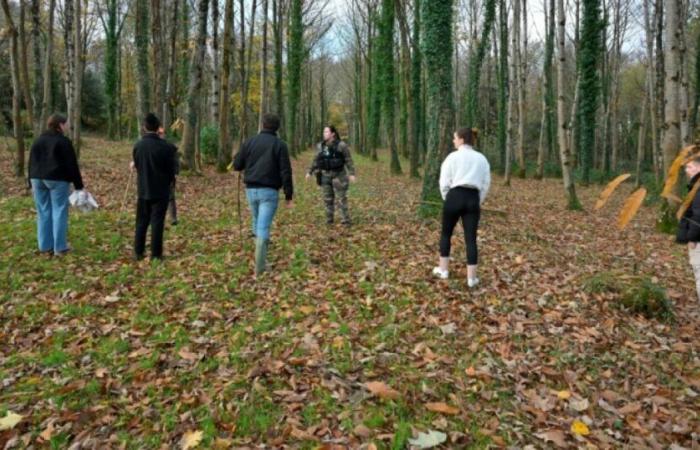 Adolescente scomparsa in Bretagna: quasi 800 volontari per una caccia, l'inchiesta continua: News