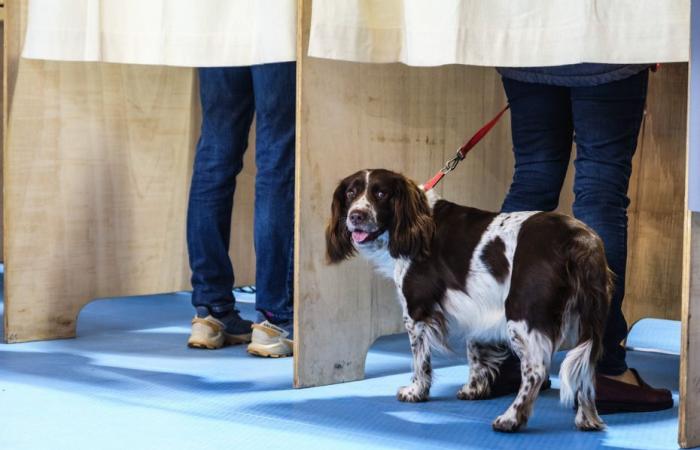 i residenti di cinque comuni della Somme devono votare nuovamente