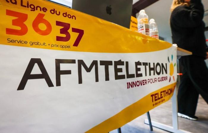 Telethon 2024: già più di 250.000 euro impegnati nella Loira Atlantica e in Vandea