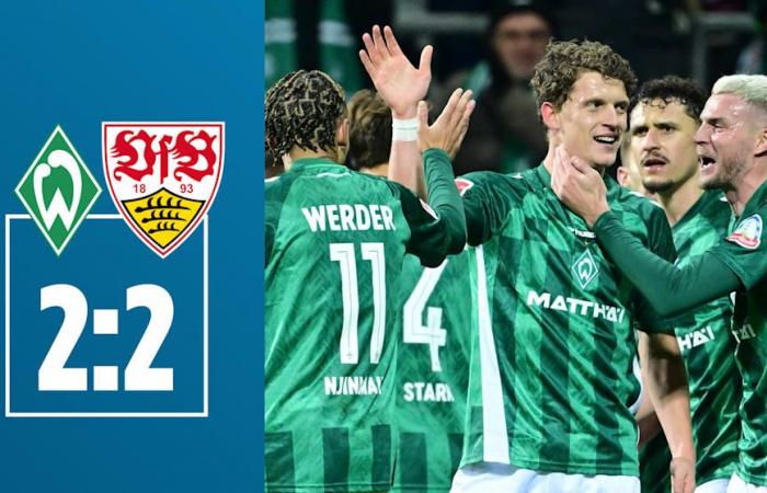 Bundesliga: rissa a Friburgo, lo Stoccarda rovina la festa al Werder | sport