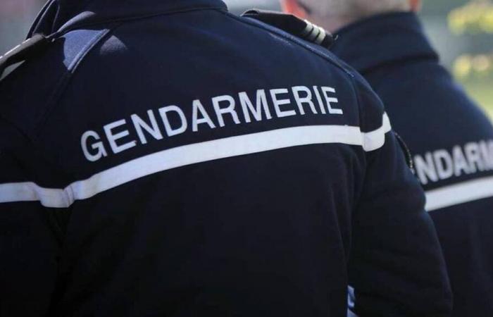 Un residente di Cholet è risultato positivo agli stupefacenti mentre guidava a Deux-Sèvres