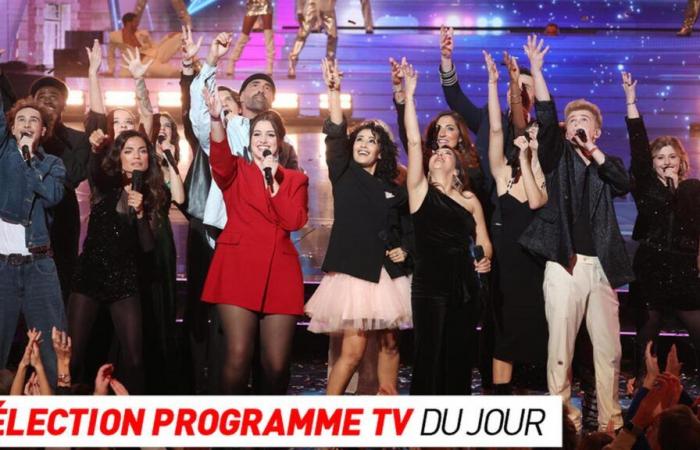 Programma TV: Star Academy, La grande festa di Telethon 2024… cosa vedere stasera in TV?