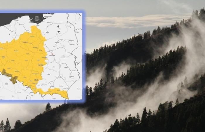 Previsioni del tempo. IMWM mette in guardia contro la nebbia. Mezza Polonia in allerta