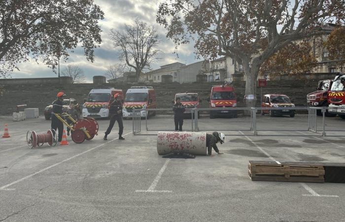 Gard si è mobilitato per Telethon