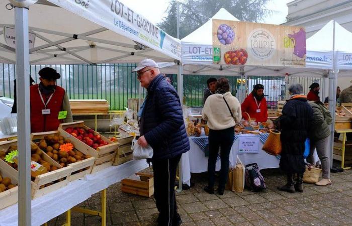 Nel Lot-et-Garonne, il settore biologico, in crisi, è esposto e continua a crederci