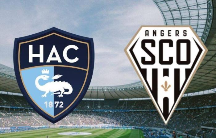 Le Havre – Angers: su quale canale e a che ora vedere in diretta la partita di Ligue 1?