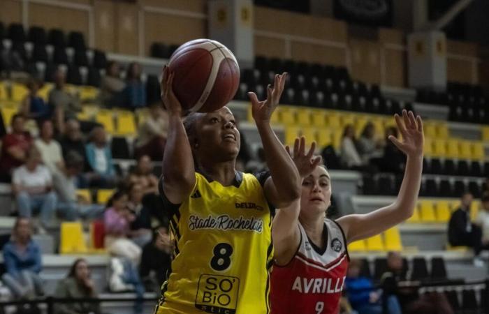 Basket Landes Speranze troppo forti per i Rochelaises